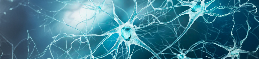 Gentle Cell Sorting Advancing ALS Research