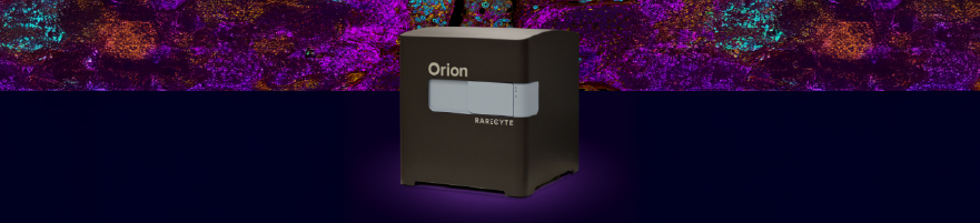 The Path to Clinical Relevance: Moving from Spatial Transcriptomics to Protein Profiling